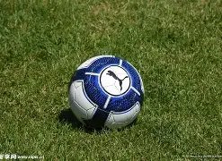 西班牙传奇,门将纳瓦斯,正式告别绿,明发彩票官方网站,明发彩票团队,明发彩票,明发彩票体育集团,明发彩票赛事平台,明发彩票直播公司