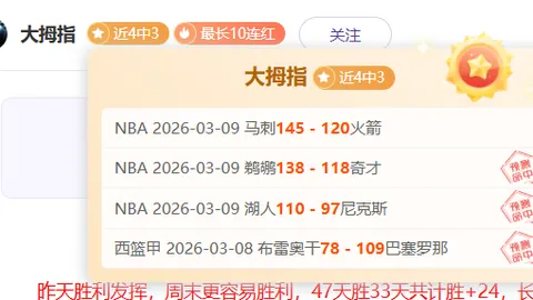 湖人vs篮网比赛分析：专家深度解读